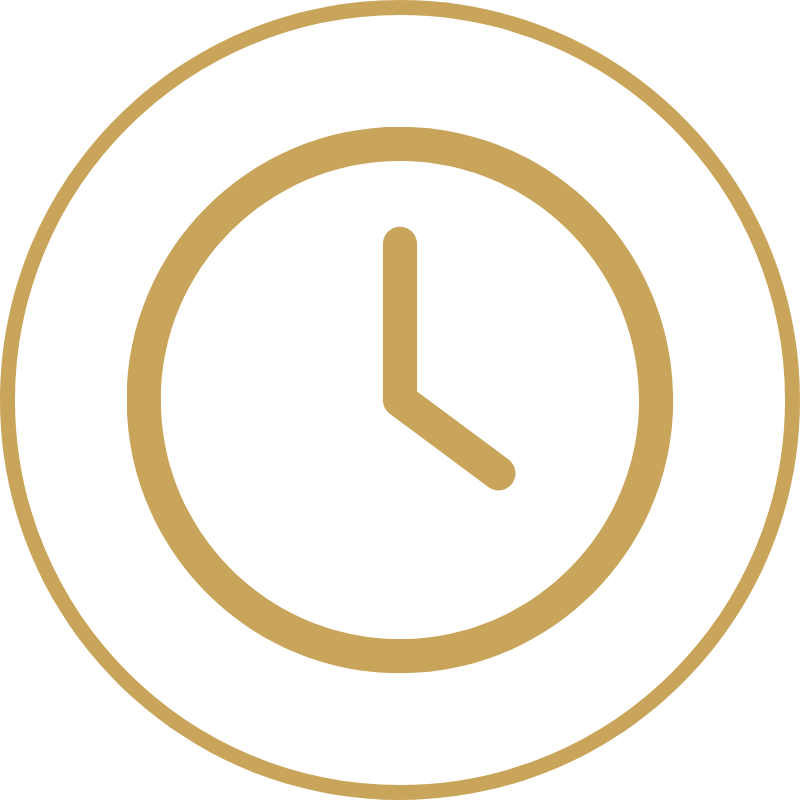 Timing Icon